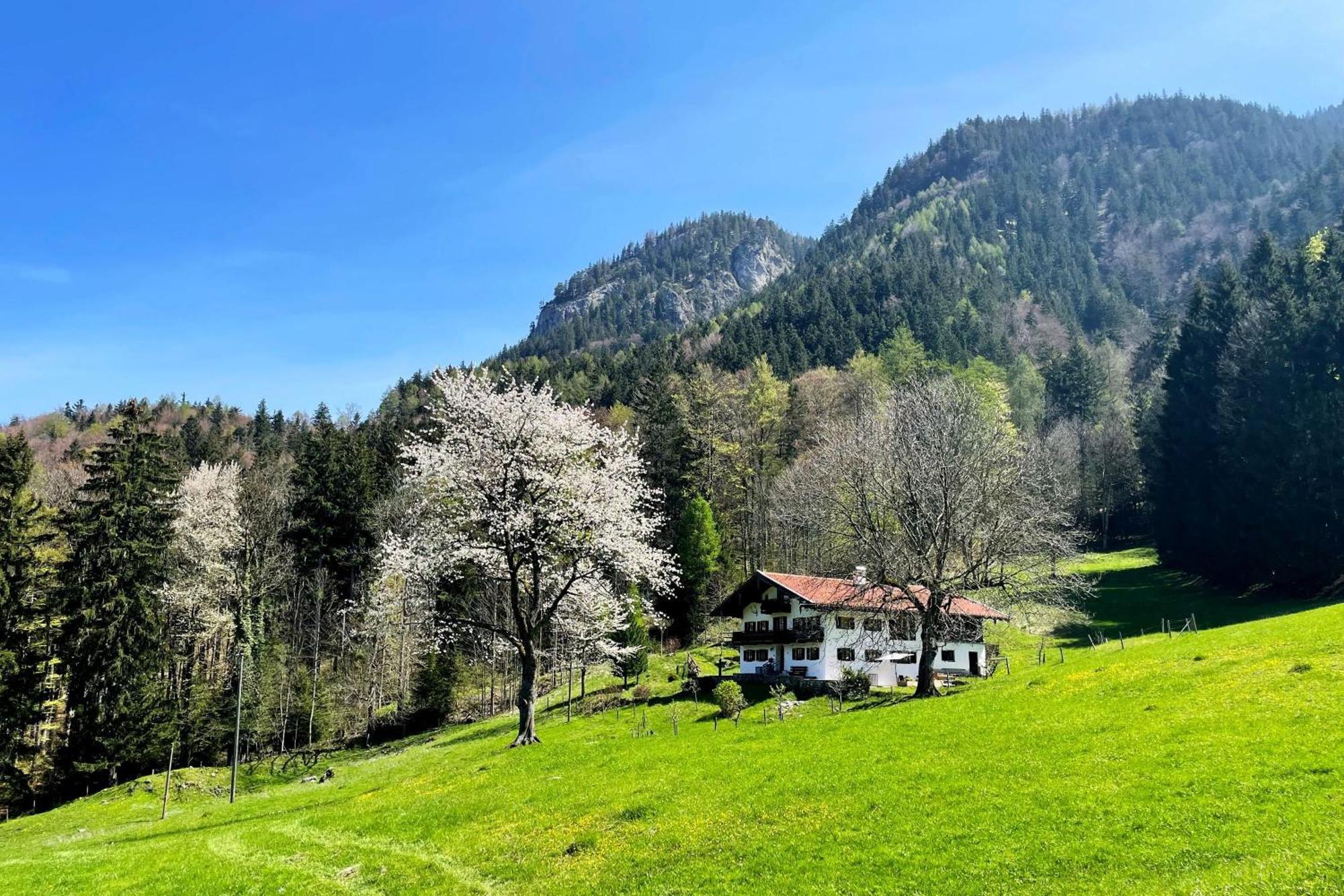 Apartamento Bergzeit Aschau im Chiemgau Exterior foto